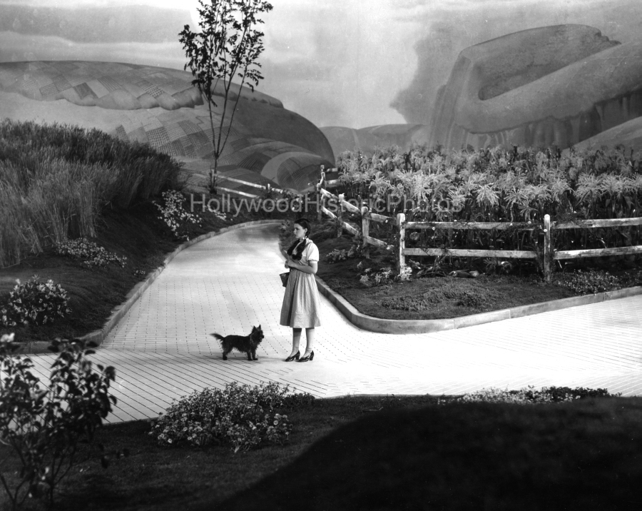 The Wizard of Oz 1939 14 Judy Garland Toto.jpg